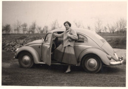VW Brezel Käfer 1950 - Automobiles