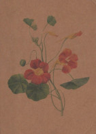 FLOWERS Vintage Ansichtskarte Postkarte CPSM #PBZ198.A - Flowers