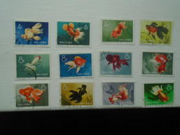 1960 CHINA STAMPS - SET USED CHINESE GOLDFISH 12 USED - Oblitérés