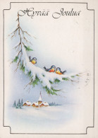 OISEAU Animaux Vintage Carte Postale CPSM #PAM914.A - Vögel
