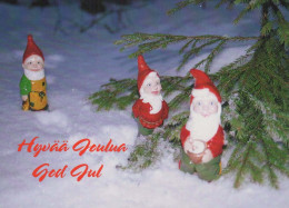 WEIHNACHTSMANN SANTA CLAUS Neujahr Weihnachten GNOME Vintage Ansichtskarte Postkarte CPSM #PBA975.A - Santa Claus