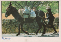 HORSE Animals Vintage Postcard CPSM #PBR899.A - Paarden