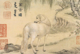 HORSE Animals Vintage Postcard CPSM #PBR864.A - Paarden