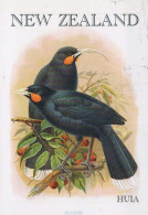 PÁJARO Animales Vintage Tarjeta Postal CPSM #PBR540.A - Birds