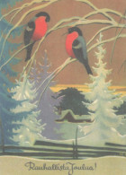 VOGEL Tier Vintage Ansichtskarte Postkarte CPSM #PBR523.A - Pájaros