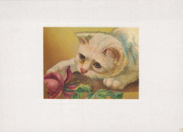 CHAT CHAT Animaux Vintage Carte Postale CPSM #PBQ796.A - Katten