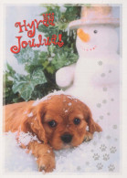 DOG Animals Vintage Postcard CPSM #PBQ623.A - Honden