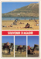 Souvenir D' AGADIR - Altri & Non Classificati