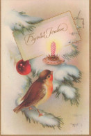 PÁJARO Vintage Tarjeta Postal CPSMPF #PKG965.A - Birds