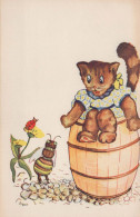 KATZE Vintage Ansichtskarte Postkarte CPSMPF #PKG908.A - Cats