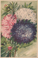 FLOWERS Vintage Postcard CPA #PKE701.A - Blumen