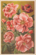 FLOWERS Vintage Ansichtskarte Postkarte CPA #PKE490.A - Flowers