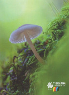 Mycena. Mushrooms, Printing Company AG TYP, Czech Rep., 2019, 65 X 90 Mm, - Tamaño Pequeño : 2001-...