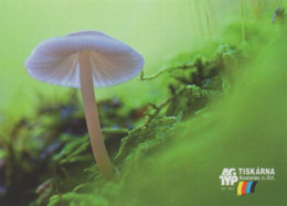Mycena. Mushrooms, Printing Company AG TYP, Czech Rep., 2019, 65 X 90 Mm, - Small : 2001-...