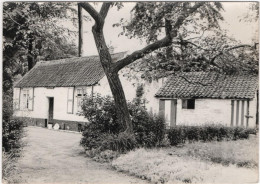 St-Katelijne Waver ? - Photocard - Andere & Zonder Classificatie