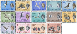 72652 MNH ASCENSION 1963 AVES - Ascension (Ile De L')