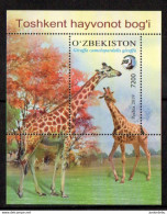 Uzbekistan - 2019 - Animals Of The Toshkent Zoo . - Giraffa Camelopardalis  - Miniature Sheet - MNH ( OL 24/06/2022. ) - Ouzbékistan