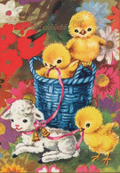PASQUA POLLO UOVO Vintage Cartolina CPSM #PBO584.IT - Easter