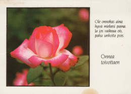 FIORI Vintage Cartolina CPSM #PAS253.IT - Blumen