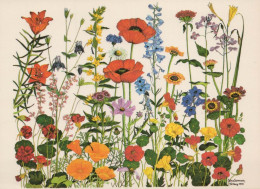 FIORI Vintage Cartolina CPSM #PAR231.IT - Flowers