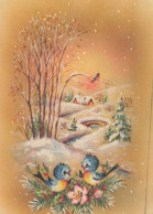 UCCELLO Animale Vintage Cartolina CPSM #PAM968.IT - Pájaros