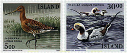 66909 MNH ISLANDIA 1988 AVES - Collections, Lots & Séries