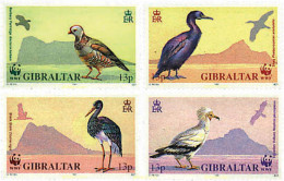 83459 MNH GIBRALTAR 1991 WWF. AVES EN PELIGRO DE EXTINCION - Gibraltar