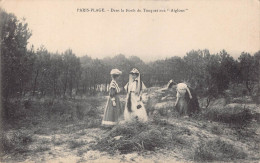 27092 " PARIS-PLAGE-DANS LA FORET DU TOUQUET AUX AIGLONS " ANIMÉ-VERA FOTO-CART. POST.  NON SPED. - Le Touquet