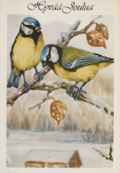 BIRD Animals Vintage Postcard CPSM #PAM964.GB - Pájaros