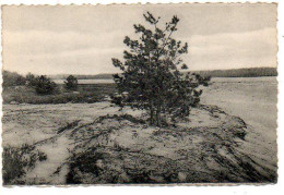 Wechelderzande Zicht In De Duinen - Lille