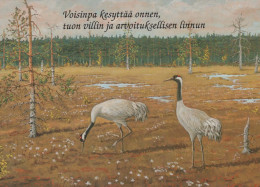 UCCELLO Animale Vintage Cartolina CPSM #PBR407.IT - Oiseaux