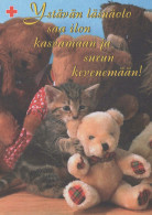 GATTO KITTY Animale Vintage Cartolina CPSM #PBQ939.IT - Cats
