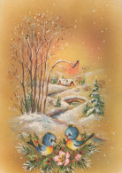 OISEAU Animaux Vintage Carte Postale CPSM #PAM966.FR - Pájaros