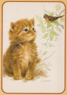 CHAT CHAT Animaux Vintage Carte Postale CPSM #PAM586.FR - Gatos