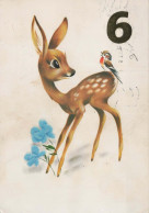 DEER Animals Vintage Postcard CPSM #PBS566.GB - Autres & Non Classés