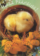 EASTER CHICKEN EGG Vintage Postcard CPSM #PBO642.GB - Easter