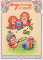 EASTER CHICKEN EGG Vintage Postcard CPSM #PBO580.GB - Pâques