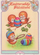 EASTER CHICKEN EGG Vintage Postcard CPSM #PBO580.GB - Pasen