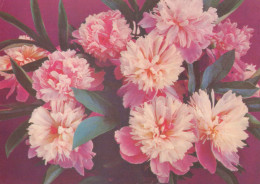FLORES Vintage Tarjeta Postal CPSM #PAR709.ES - Flowers