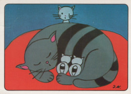 GATO GATITO Animales Vintage Tarjeta Postal CPSM #PAM463.ES - Gatos
