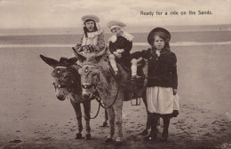 ÂNE Animaux Enfants Vintage Antique CPA Carte Postale #PAA209.FR - Donkeys