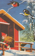 Bonne Année Noël GNOME Vintage Carte Postale CPSMPF #PKD452.FR - Nieuwjaar