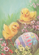 PÂQUES POULET ŒUF Vintage Carte Postale CPSM #PBO705.FR - Easter