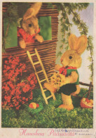 PÂQUES LAPIN Vintage Carte Postale CPSM #PBO519.FR - Easter