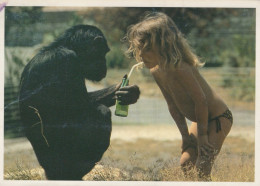 AFFE Tier Vintage Ansichtskarte Postkarte CPSM #PAN988.DE - Singes