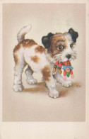 PERRO Animales Vintage Tarjeta Postal CPA #PKE778.ES - Chiens