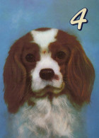 PERRO Animales Vintage Tarjeta Postal CPSM #PBQ618.ES - Cani