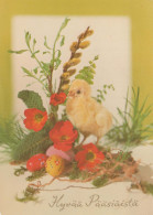 PASCUA POLLO Vintage Tarjeta Postal CPSM #PBO955.ES - Easter