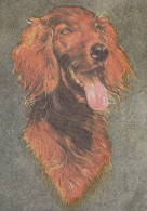 HUND Tier LENTICULAR 3D Vintage Ansichtskarte Postkarte CPSM #PAZ140.DE - Dogs