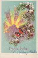 VOGEL Vintage Ansichtskarte Postkarte CPSMPF #PKG953.DE - Vögel